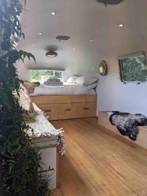 Airstream, Vintage American Caravan & Hottub Ashburton Exteriér fotografie